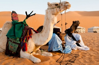 Hoteles y Campamentos en Libia