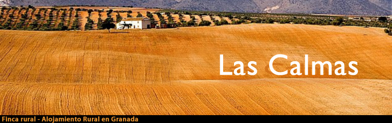 Casa Rural en Granada - Finca Las Calmas - Alojamiento Rural