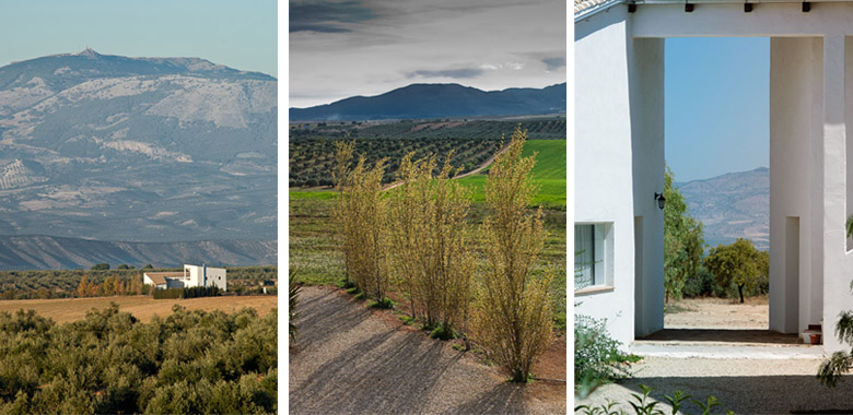 CASA RURAL EN GRANADA CASA RURAL EN GRANADA