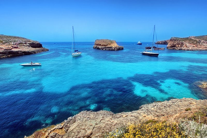 Malta Total