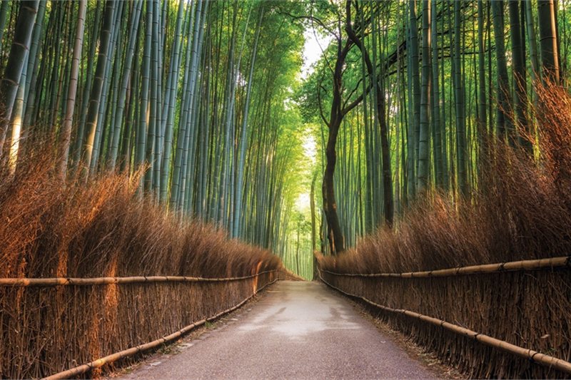 Viajar por Japón Tradicional y China Mágica