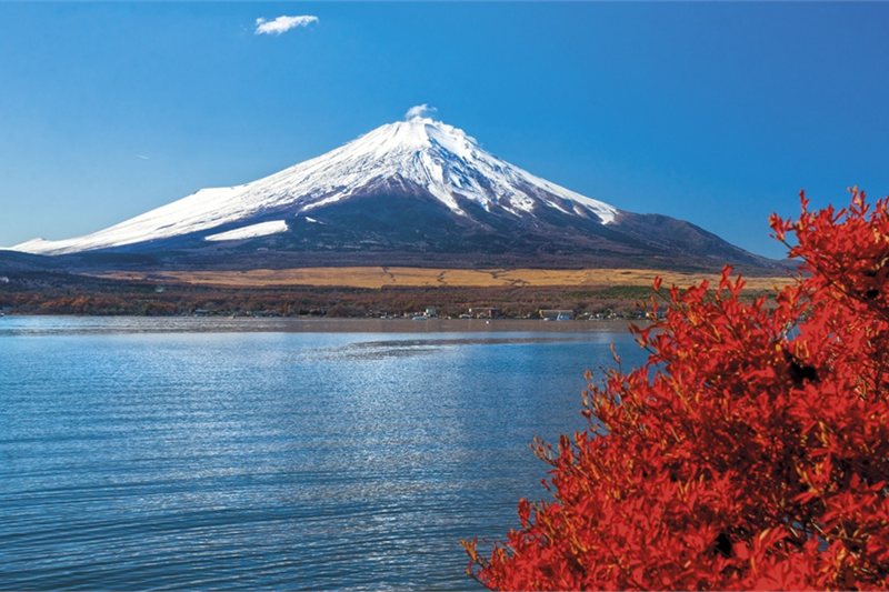 Viajar por Luces de Corea y Japón Esencial