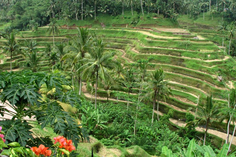 Viajar por Encantos de Kuala Lumpur y Bali fascinante