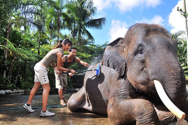 Viajar por Descubre Tailandia, Singapur y Bali