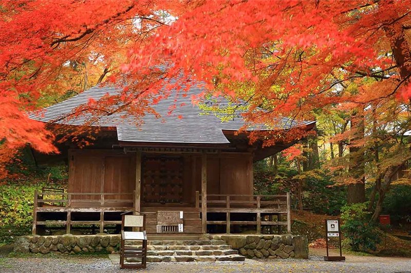Viajar por Sueños de Sakura - Fin Sapporo