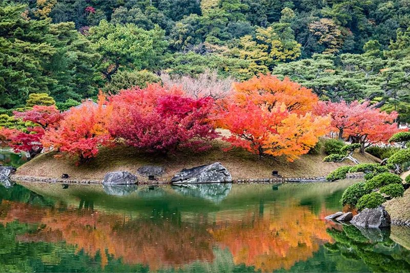 Viajar por Japón Mágico y de Ensueño