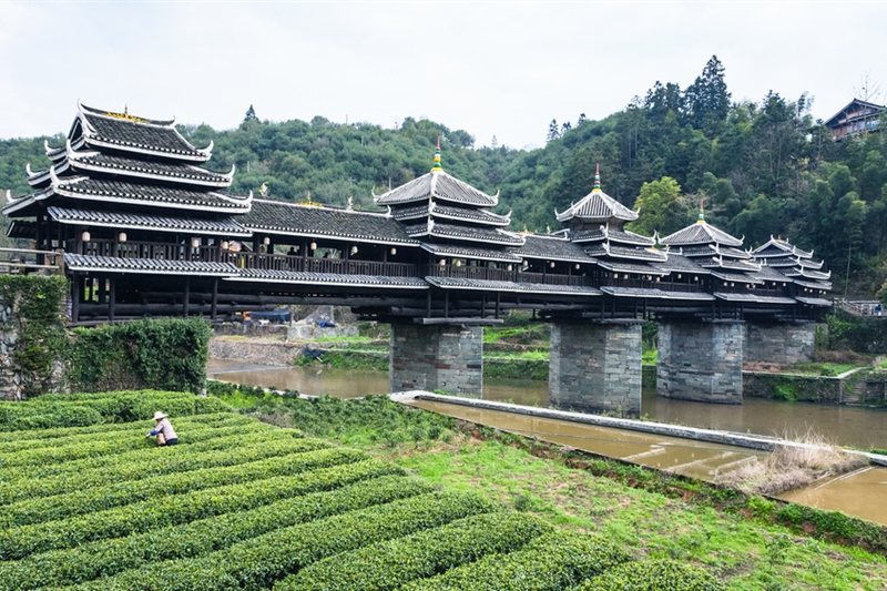 Viajar por Descubre China con Chengdu y Guilin
