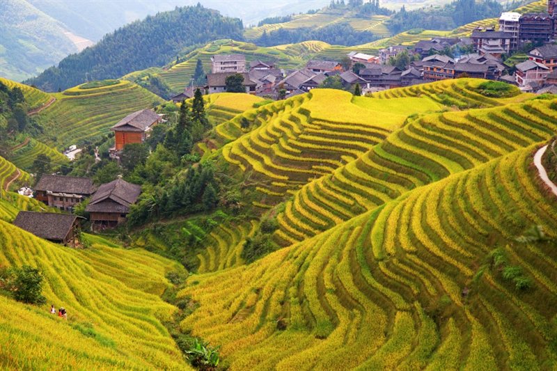 Viajar por China Sensaciones Auténticas - Fin Macao