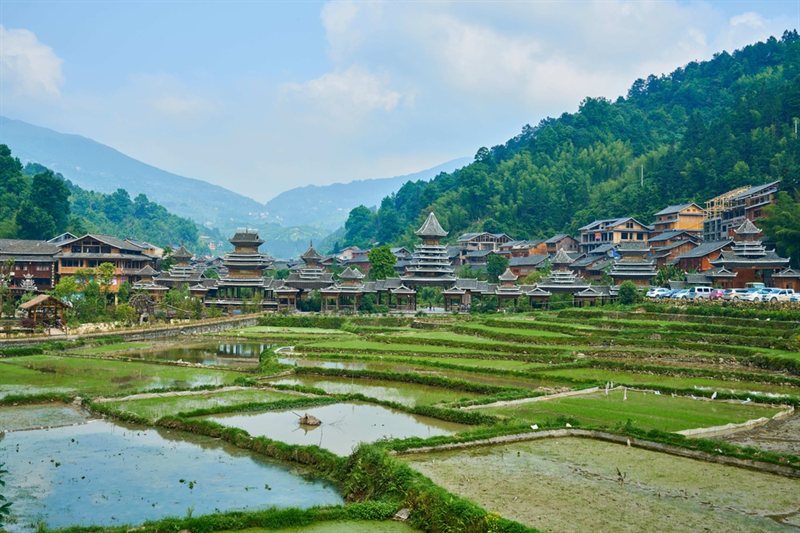 Viajar por Japón Esencial y China de Norte a Sur - Fin Hong Kong