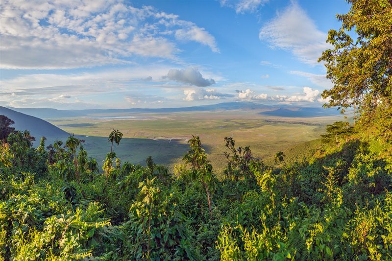 Viajar por Tierras de Tanzania
