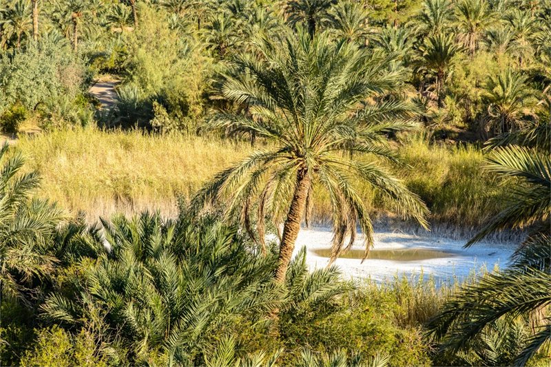 Viajar por Explorando la Espiritualidad en Irán