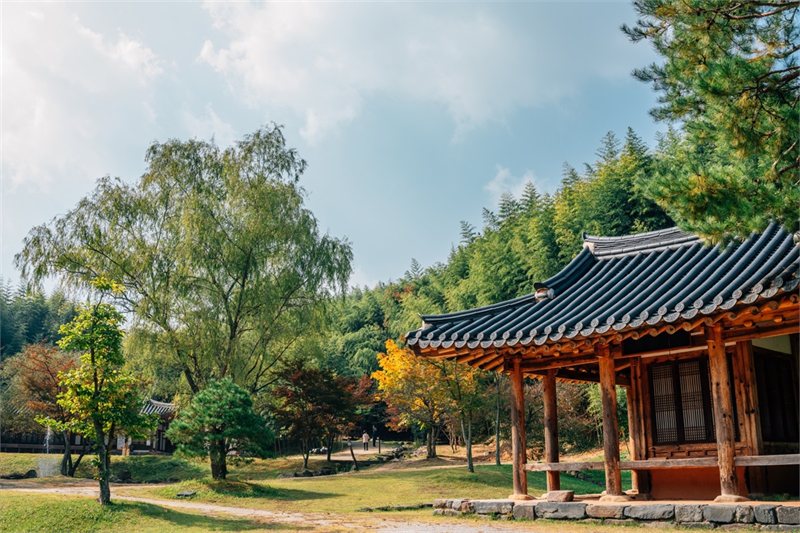 Viajar por Paisajes de Corea y Japón con Monte Fuji