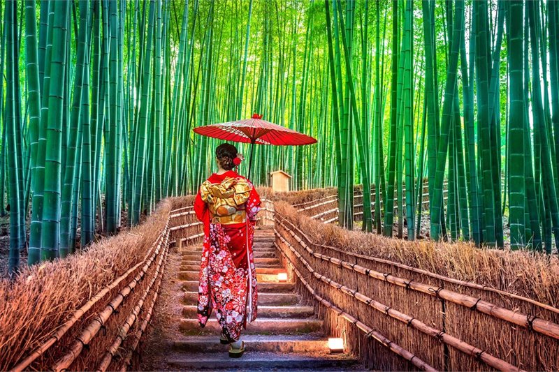 Viajar por Tokio, Kioto y Osaka