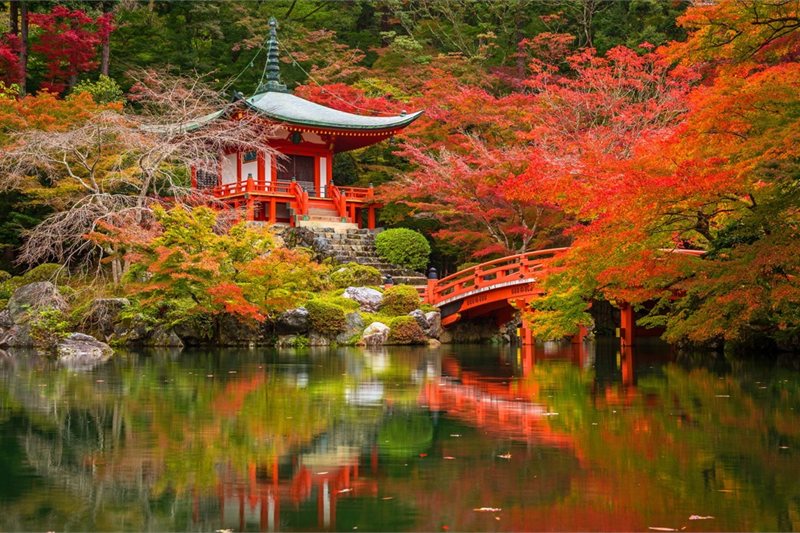 Viajar por Japón Tradicional y China Clásica con Chengdu
