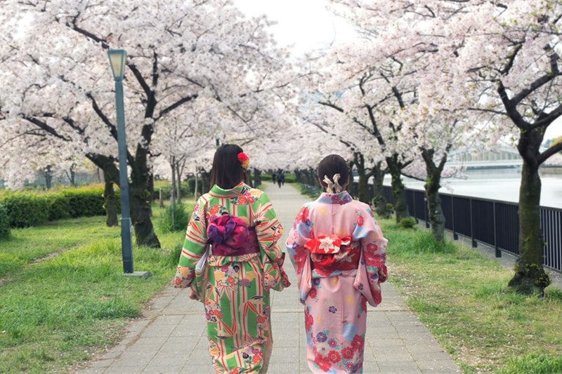Viajar por Paisajes de Japon y Monte Fuji