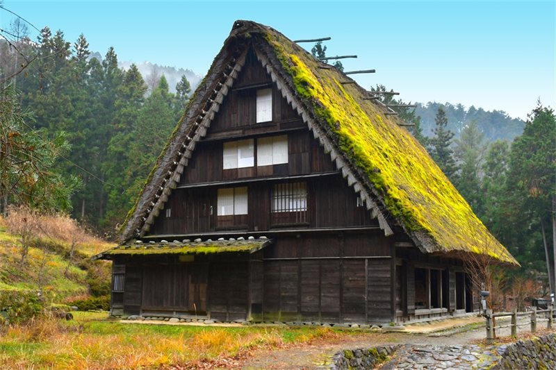 Viajar por Japón Feudal 8D