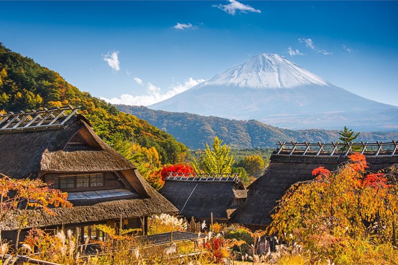 Viajar por Japon Esencial y Hakone fin Tokio