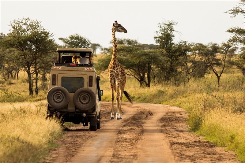 Viajar por Tierras de Tanzania