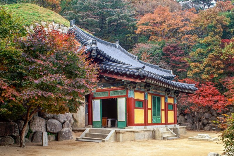 Viajar por Encantos de China y Corea al Completo