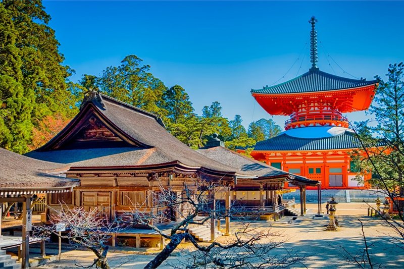 Viajar por Sueños de Sakura con Corea del Sur