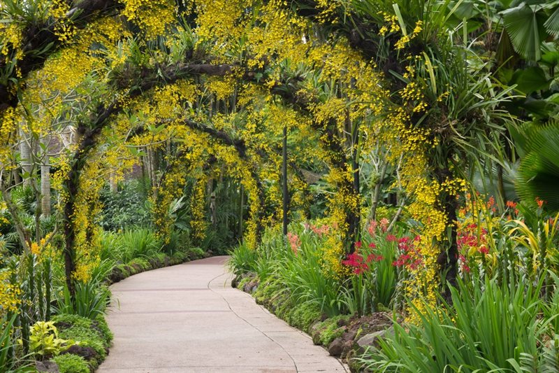 Viajar por Maravillas de Singapur y Malasia