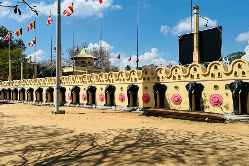 Viajar por Sri Lanka con mil experiencias