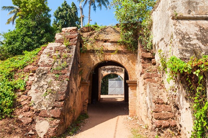 Viajar por Sri Lanka con mil experiencias