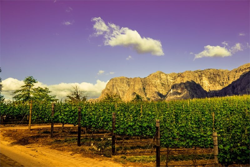 Viajar por Sudáfrica inolvidable con Pilanesberg