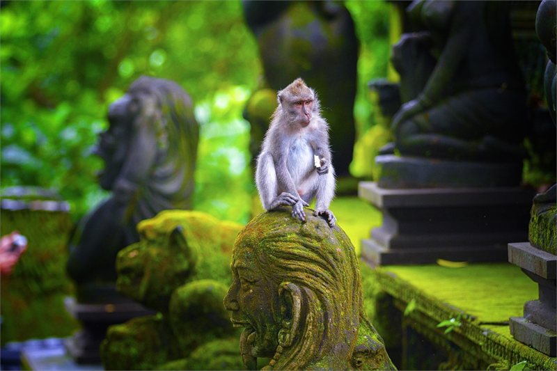 Viajar por Paraiso Escondido: Ubud, Gili Trawangan y Jimbaran