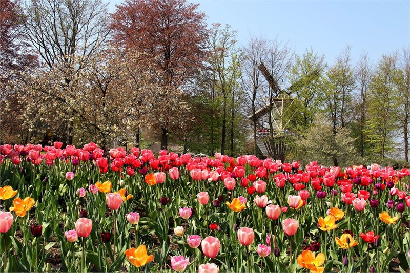 Viajar por Londres, Amsterdam, Paris y España +i