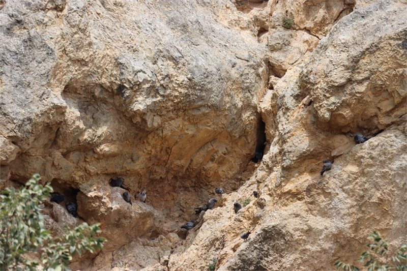 Viajar por Irán al completo