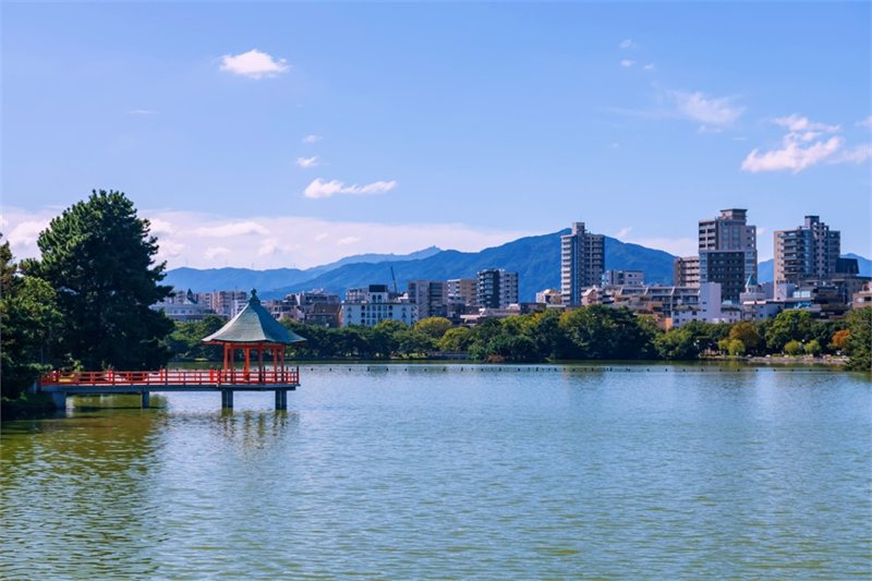 Viajar por Tesoros de Kyushu