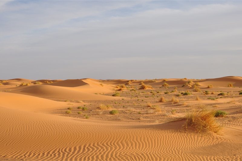 Viajar por Andalucia, Marruecos y Portugal con Madrid