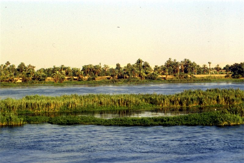 Lo Mejor de Egipto y Oasis de El Fayum 2026