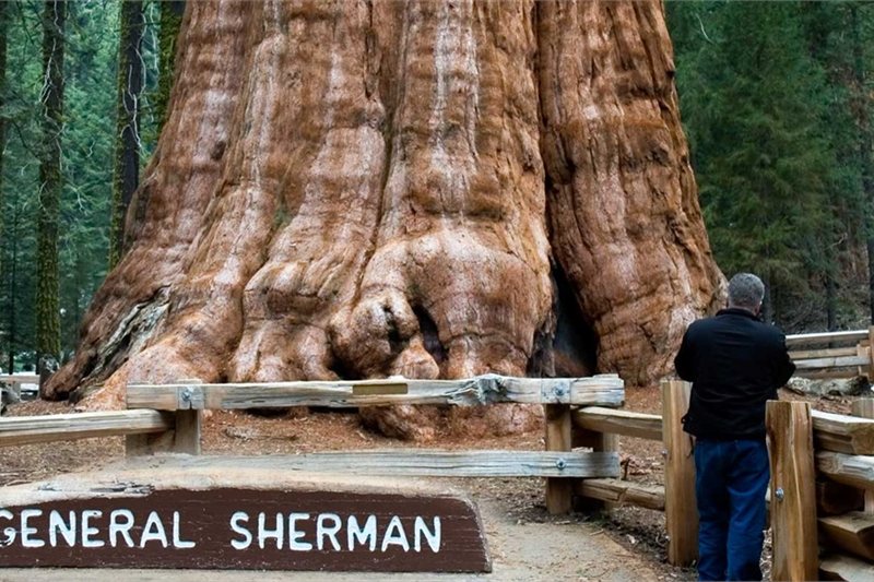 Viajar por Oeste Fascinante Fin San Francisco