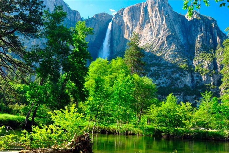Viajar por Excursión Yosemite y Gran Sequoia