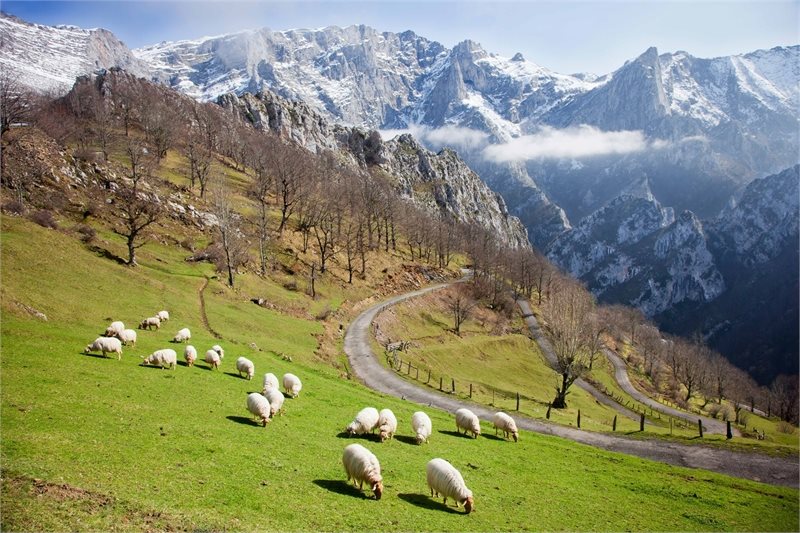 Circuito a Asturias y Cantabria con Picos de Europa