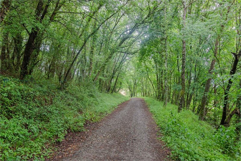 Circuito a los Fiordos Leoneses y El Bierzo