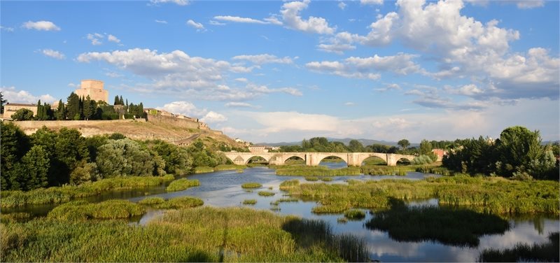 Viaje organizado a Castilla y León (Salamanca)