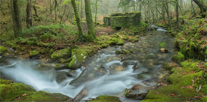 Viaje a Galicia Ribeira Sacra
