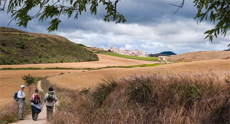 Viaje al Camino de Santiago