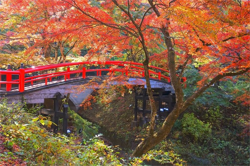 Japon Central