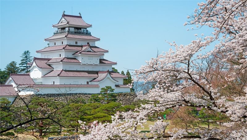 Descubre Japon