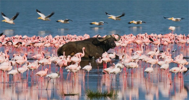 Tierras de Kenia