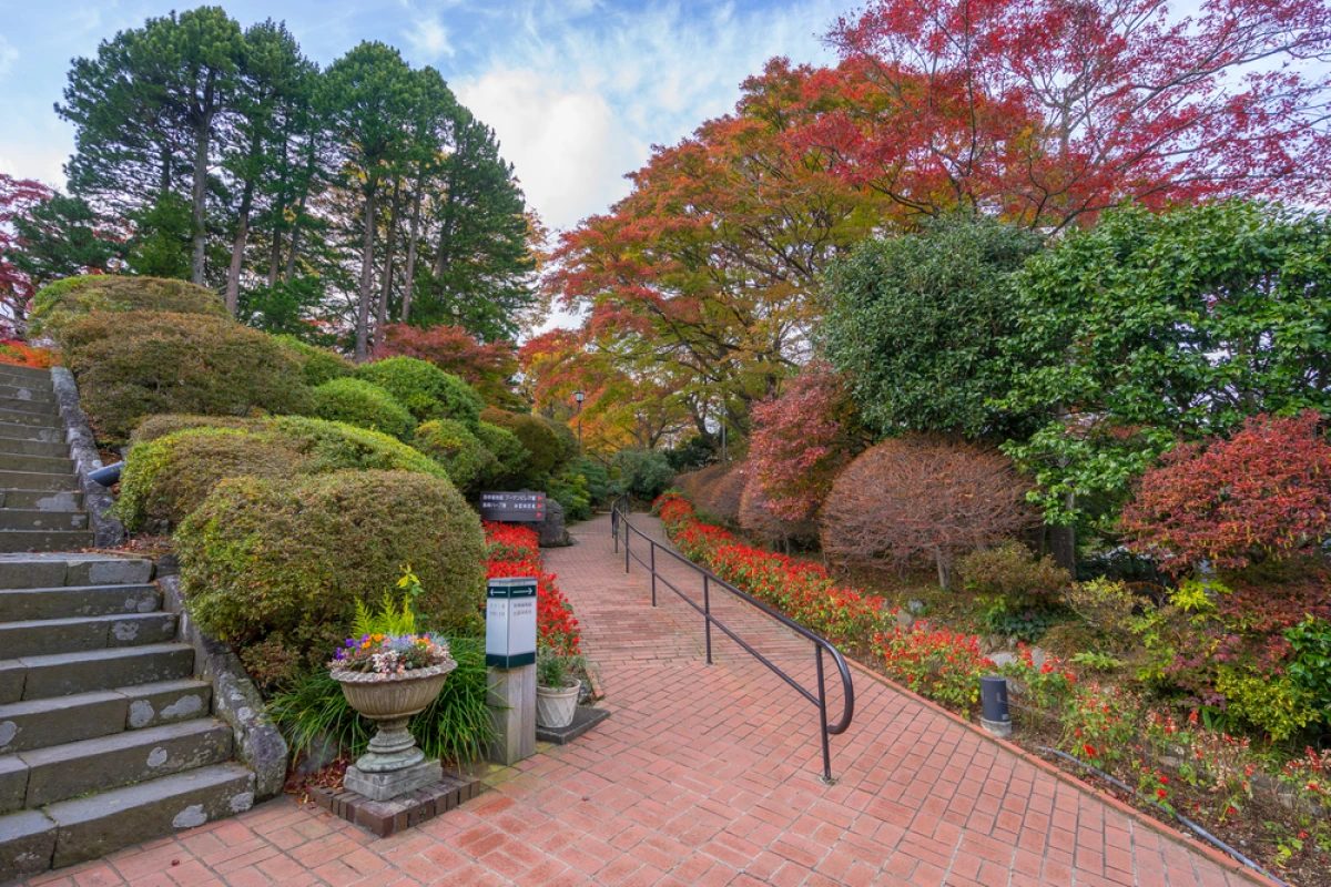 China Clásica y Japón Esencial con Hakone
